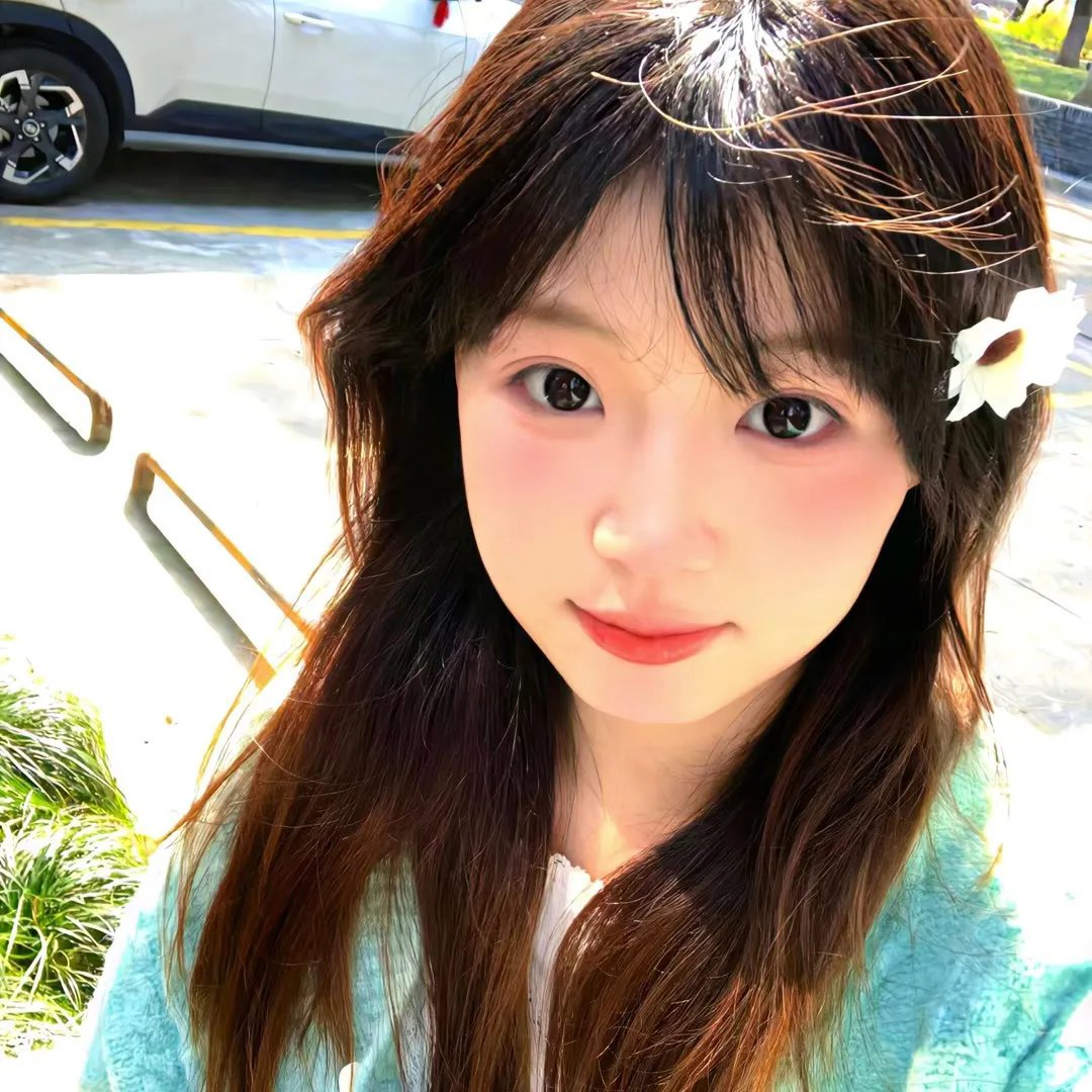 灵狐